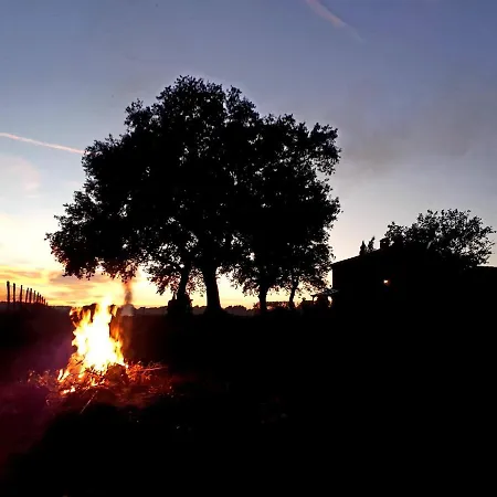 Delle Querce